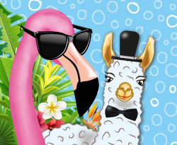 LAMA & FLAMINGO